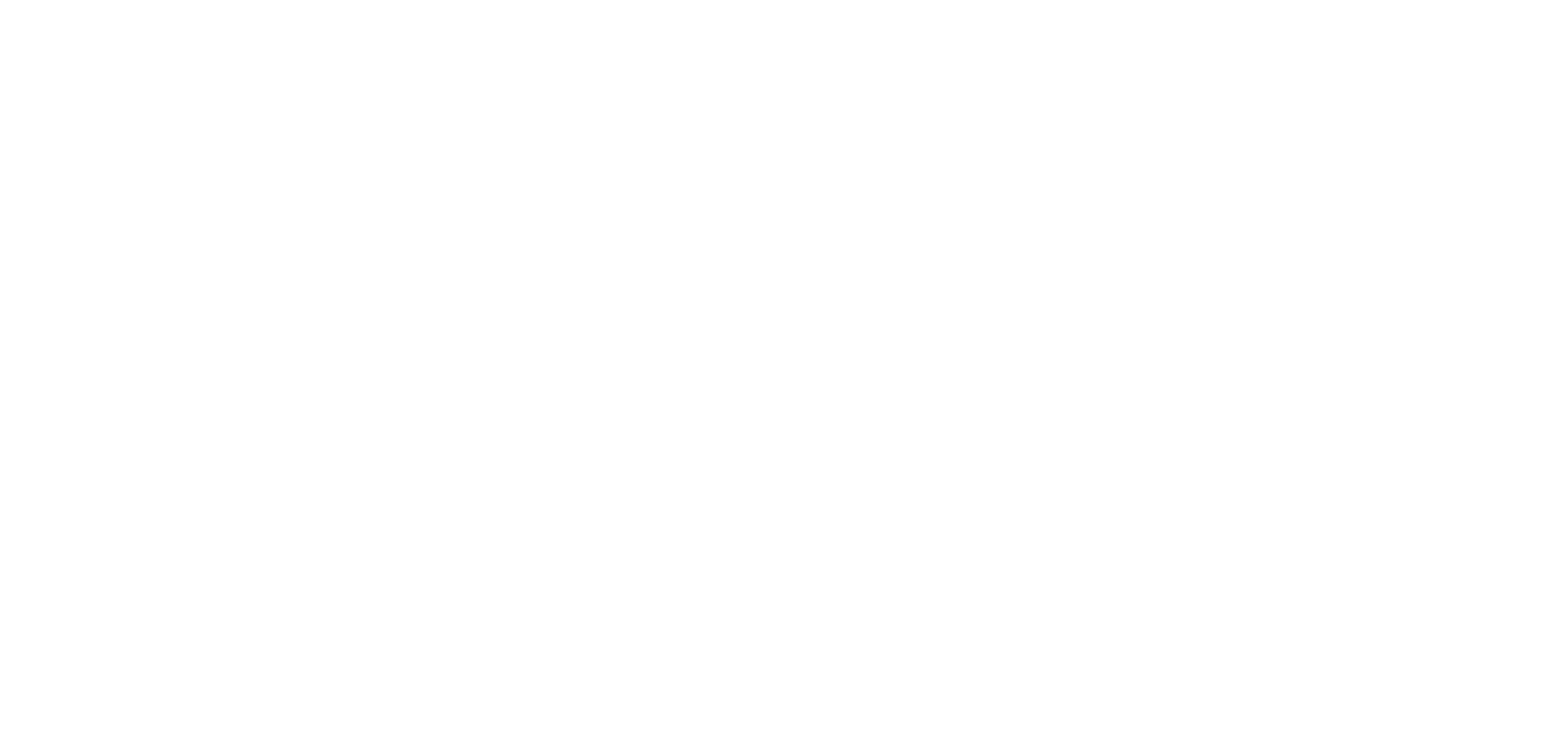 Baccarat Hotel Florence Logo