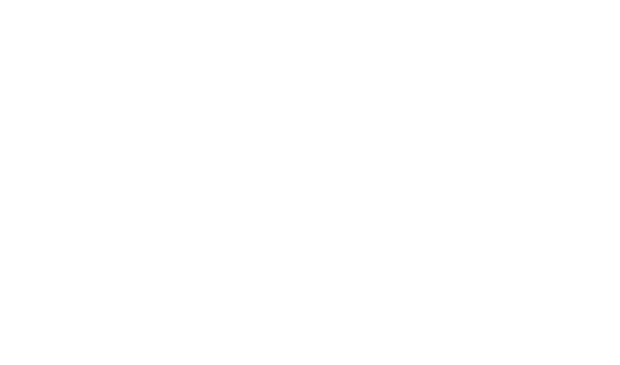 Nature's Wellness Sanctuary logo