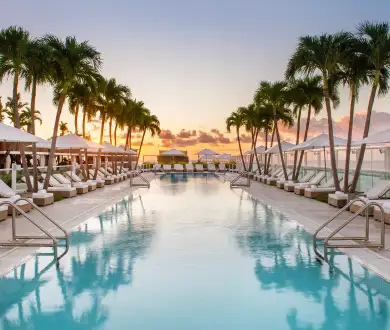 https://www.starwoodhotels.com/sites/default/files/styles/390x330/public/brandfolder/vnf42p7h5nfk77jq4ftm4c4h/RooftopPool1Revision2h1320.webp?itok=VrPNDmYv