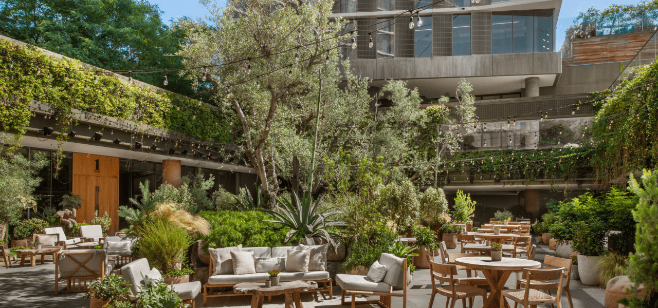 Juniper Lounge and Garden