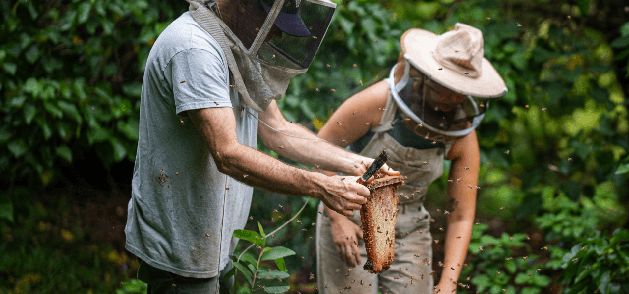 Bee Team