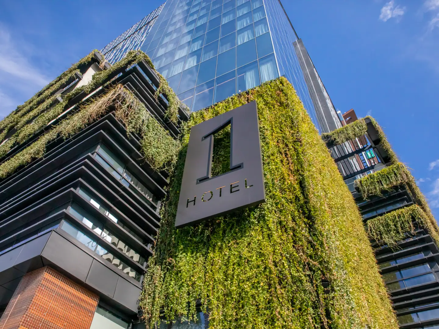 Luxury hotel consultation