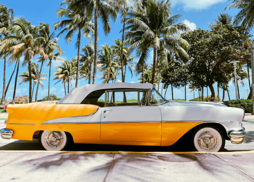 Treehouse Hotel Miami Beach