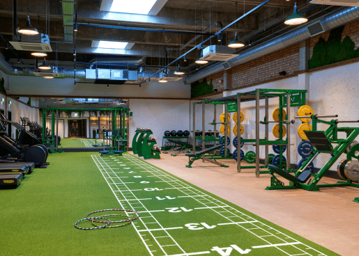  The Playground