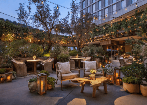 Juniper Lounge and Garden